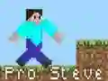 Hra Pro Steve