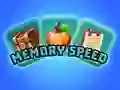 Hra Rychlost Paměti