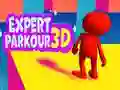 Hra Expert Parkour 3D Hra Expert Parkour 3D