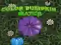 Hra Barevné dýňové utkání Hra Barevné dýňové utkání