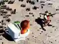Hra TopDown Skibidi Střelba na Toaletu Hra TopDown Skibidi Střelba na Toaletu