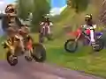 Hra Simulátor jízdy na motocrossu
