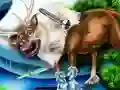 Hra Záchrana Zvířat pro Dívky Hra Záchrana Zvířat pro Dívky