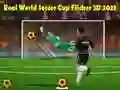 Hra Skutečný Světový Pohár ve Fotbale Flicker 3D 2023