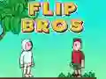 Hra Flip Bratři