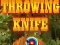 Hra Hodící nůž