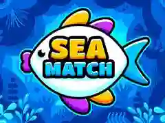 Hra Mořské Spojení