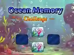 Hra Oceánová paměť: Výzva