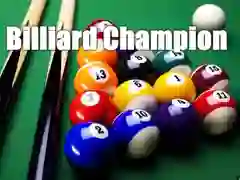 Hra Biliardový šampion