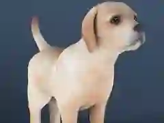 Hra Nečinné zvíře Hra Nečinné zvíře