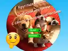 Hra Kulaté puzzle: sbírejte obrázky s roztomilými štěňaty