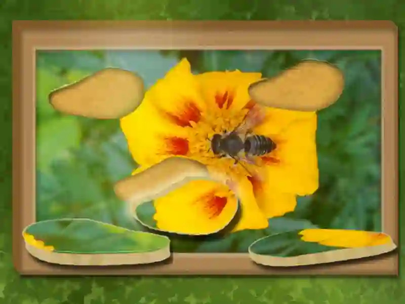 Hra Najít a obnovit