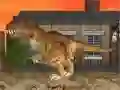 Hra LA Rex Hra LA Rex