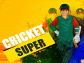 Hra Super Kriket