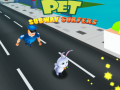 Hra Domácí mazlíčci: Subway Surfers
