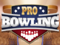 Hra Profesionální bowling