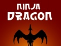 Hra Ninja Drak