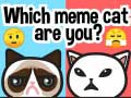 Hra Jaká jsi meme kočka?