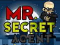 Hra Pan Tajný Agent