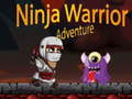Hra Dobrodružství Ninja Bojovníka