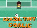 Hra Brazílie Malý Brankář