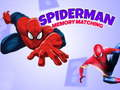 Hra Pamatková Hra Spidermana