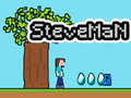 Hra Steveman