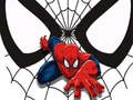 Hra Spiderman Párové Karty