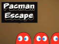 Hra Pacman Únik