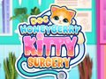 Hra Doktor HoneyBerry Kočičí Chirurgie