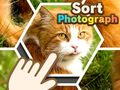 Hra Třídit fotografie