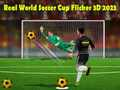 Hra Skutečný Světový Pohár ve Fotbale Flicker 3D 2023