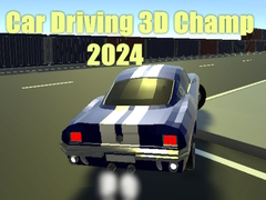 Hra Šampion Jízdy Automobilů 3D 2024